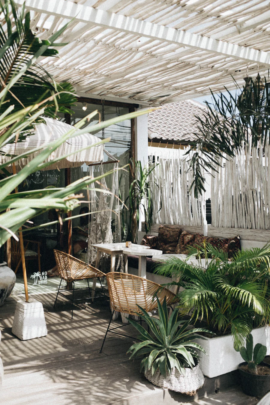 Patio interior del café con mesas bajo una parra, plantas y sombra en un día soleado